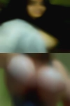 Hottest nude women