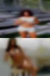 Horny housewives Gainesville